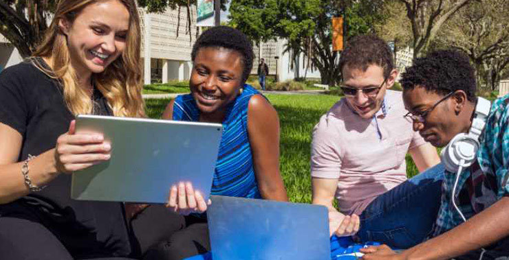 Lynn University students gather to study on a lawn.